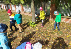 Pzredszkolaki zbierają liście.